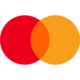payment online using master card - debit card credit card