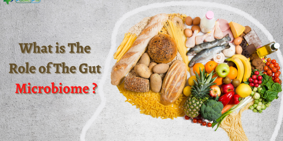 What is The Role of The Gut Microbiome 1 - Publicpill | #1 Trusted, Convenient, and affordable pharmacy, What is The Role of The Gut Microbiome (1)