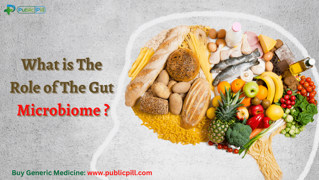 What is The Role of The Gut Microbiome 1 - Publicpill | #1 Trusted, Convenient, and affordable pharmacy, What is The Role of The Gut Microbiome (1)