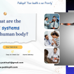 human body - Publicpill | #1 Trusted, Convenient, and affordable pharmacy, human body
