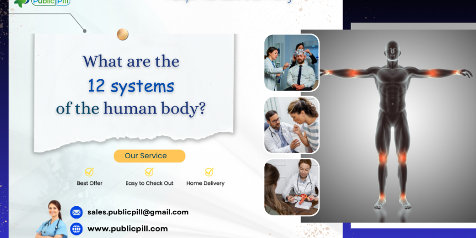 human body - Publicpill | #1 Trusted, Convenient, and affordable pharmacy, human body