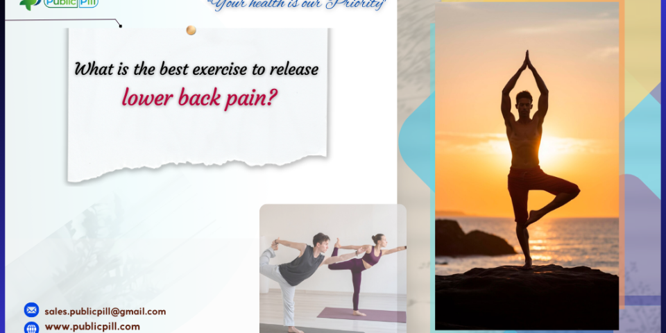 lower back pain - Publicpill | #1 Trusted, Convenient, and affordable pharmacy, lower back pain