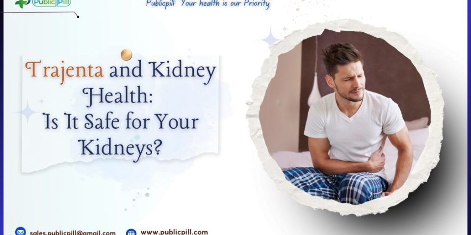 Trajenta and Kidney Health Is It Safe for Your Kidneys