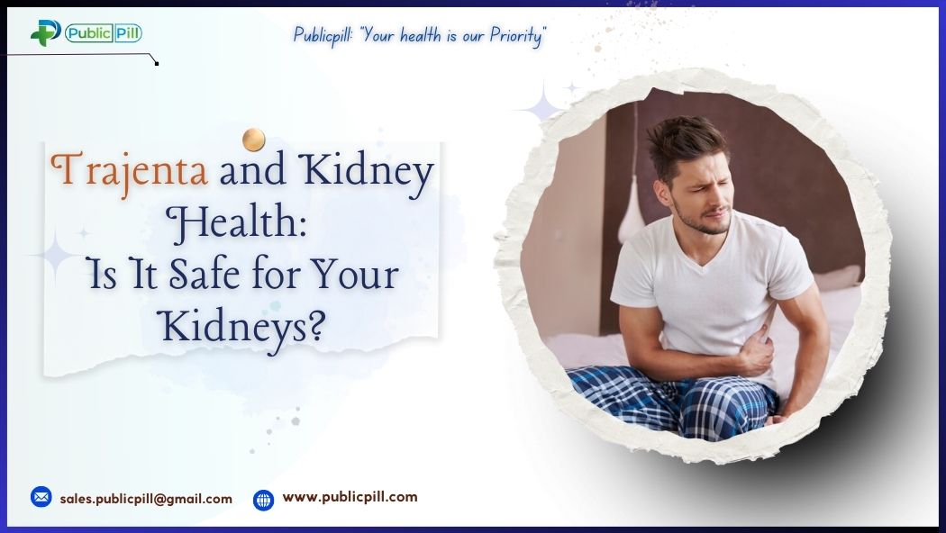 Trajenta and Kidney Health Is It Safe for Your Kidneys