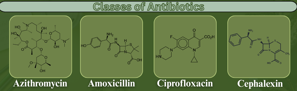 Classes of Antibiotics