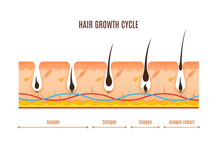 Buying Minoxidil Hair Loss Prevention Tips Inside