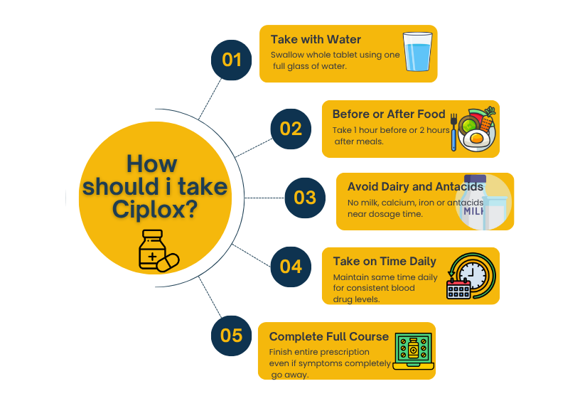 What To Eat When Taking Cipro And Flagyl