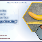 Do You Know When Your Penis Stops Growing