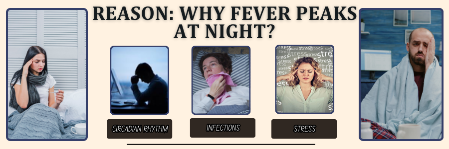 Night Fever- Why Fever Peaks At Night