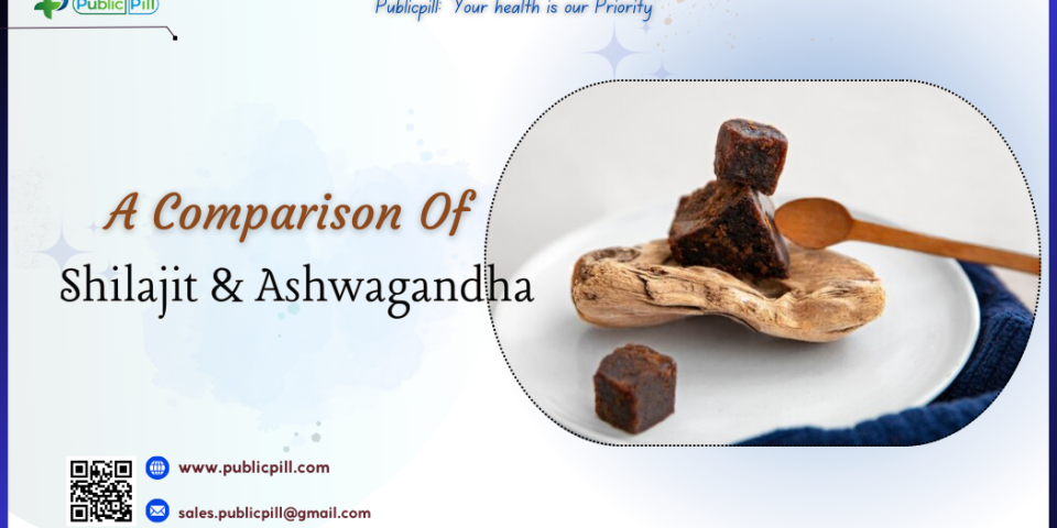 A Comparison Of Shilajit And Ashwagandha