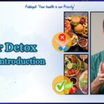 A professional holding a liver model to explain what a liver detox is.